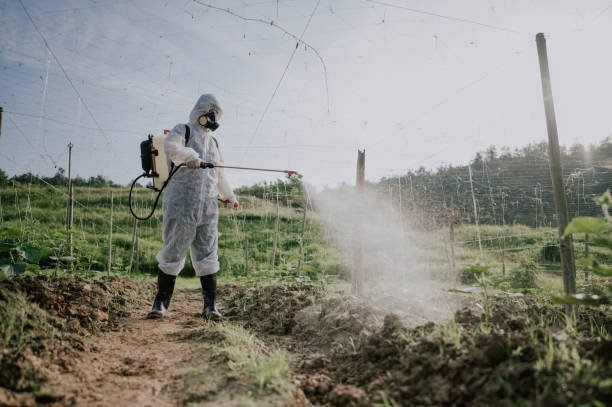 Best Commercial Pest Control Services  in Avilla, AR